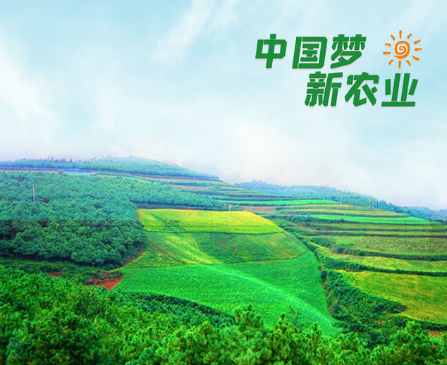 走進(jìn)盛農(nóng)