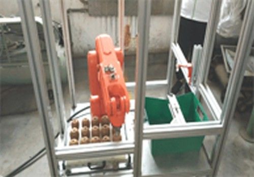 獼猴桃機械臂削皮機