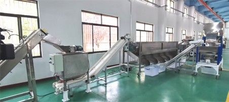 核桃去青皮清洗、提升機